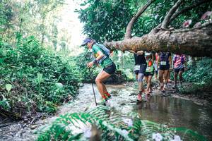 BIB: 
                            <button type="button" onclick="openModal(25444829)" class="btn btn-primary btn-sm float-right btn-popup" data-toggle="modal" data-target=".modal-high-quality">
                        <i class="fas fa-shopping-cart"></i> Add to Cart
                    </button>
                                            <button type="button" onclick="isThisMe(25444829, true)" class="btn btn-success btn-sm float-right btn-popup btn-isme hidden" data-toggle="tooltip" data-placement="bottom" title="นี่คือรูปของคุณใช่ไหม คลิกที่นี่เพื่อเอาเข้าอัลบั้ม">
                        <i class="fas fa-plus"></i> Add to album
                    </button>
                    <button type="button" onclick="isThisMe(25444829, false)" class="btn btn-warning btn-sm float-right btn-popup btn-isnotme hidden">
                        <i class="fas fa-ban"></i> Remove from album
                    </button>